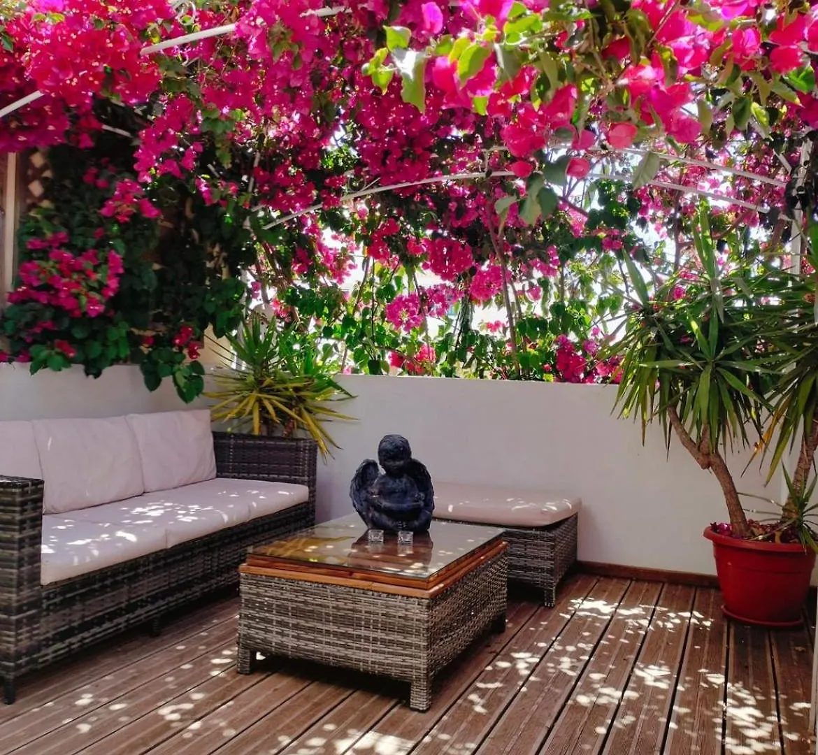 Villa Casa Da Avo By Ammonite&Co Olhão